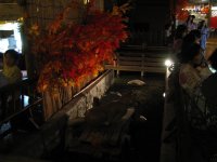 IMG_3834.JPG